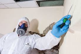 Asbestos Testing: Protecting Your Property Investment post thumbnail image